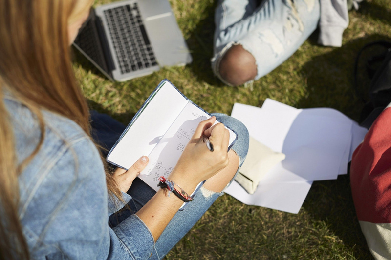 Studentin mit Notizbuch und anderen Studierenden auf Wiese vor Uni