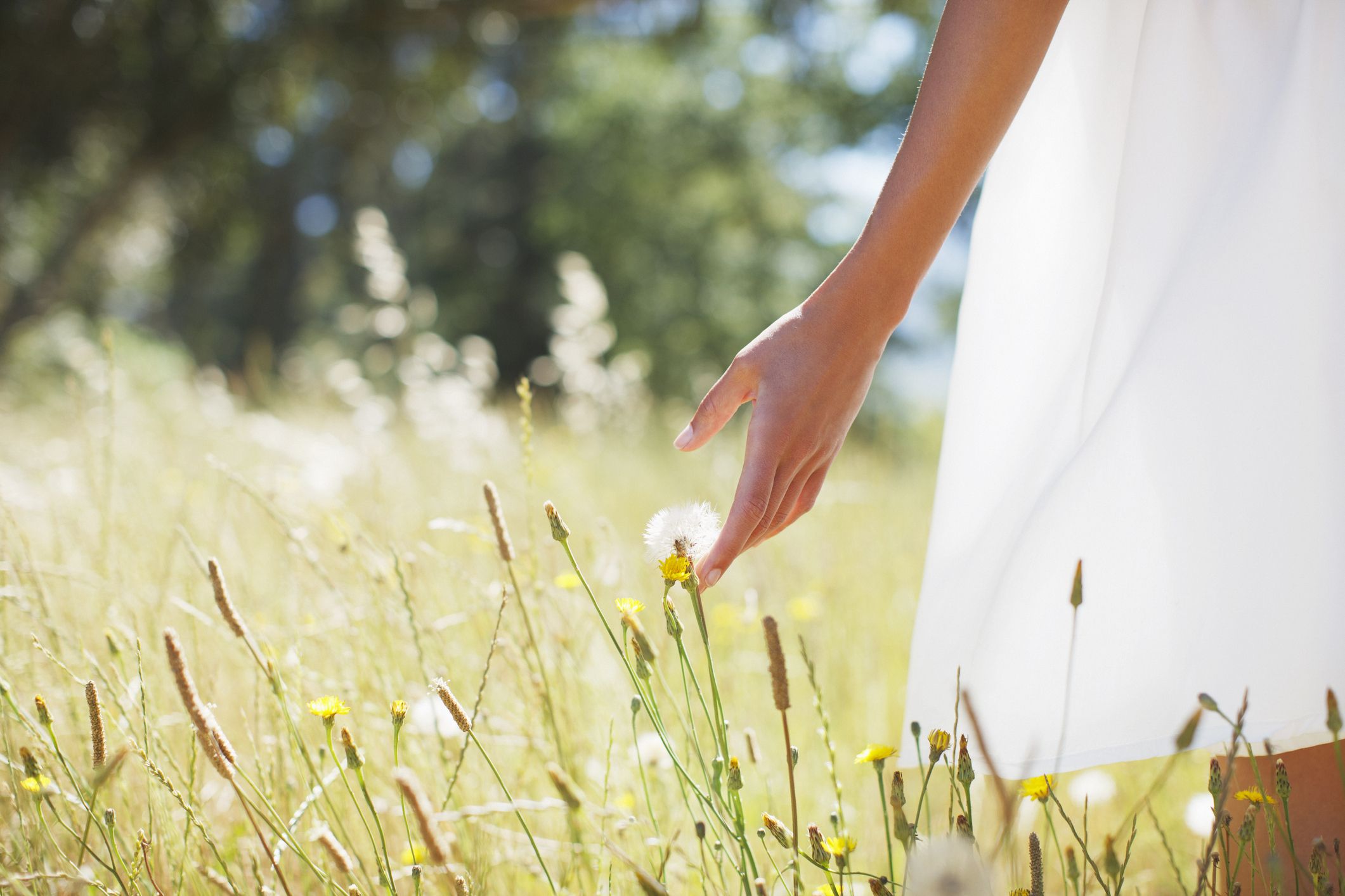 Eine Frau mit weißem Kleid auf einer Blumenwiese greift zu einer Löwenzahn-Pusteblume